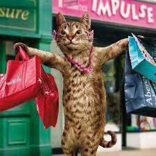 cat shopping IGEL 