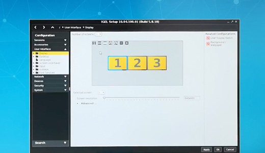 IGEL UD7 Use Case 1: 3 Monitors – 3 Sessions (Citrix, Microsoft RDP, and Local Browser)