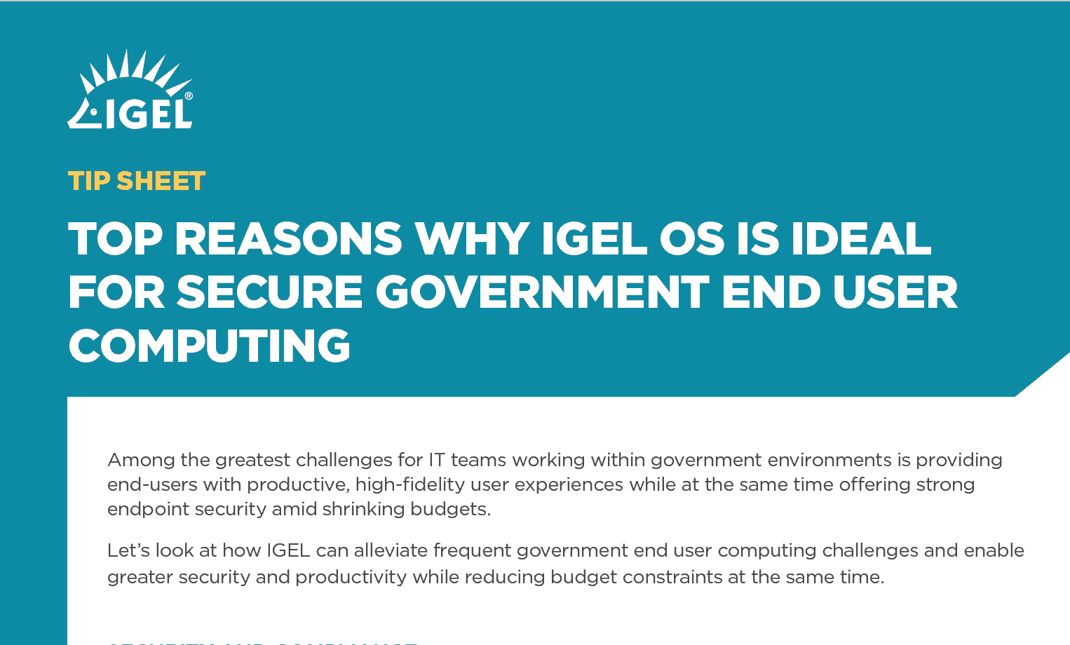 Top Reasons Why IGEL OS is Ideal for Secure Government End User Computing