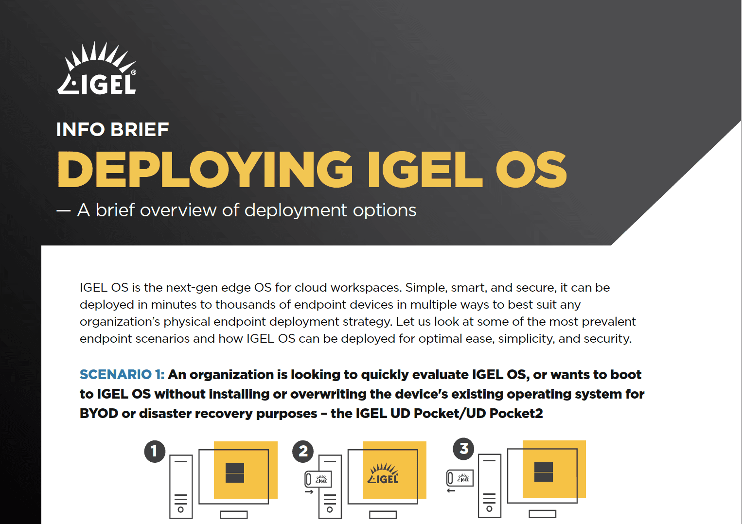 Deploying IGEL OS A brief overview of deployment options
