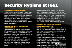 IGEL Security Glossary (use with IGEL Security Guide)