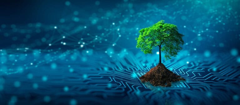 Tech and Trees – a powerful symbioses for a sustainable future